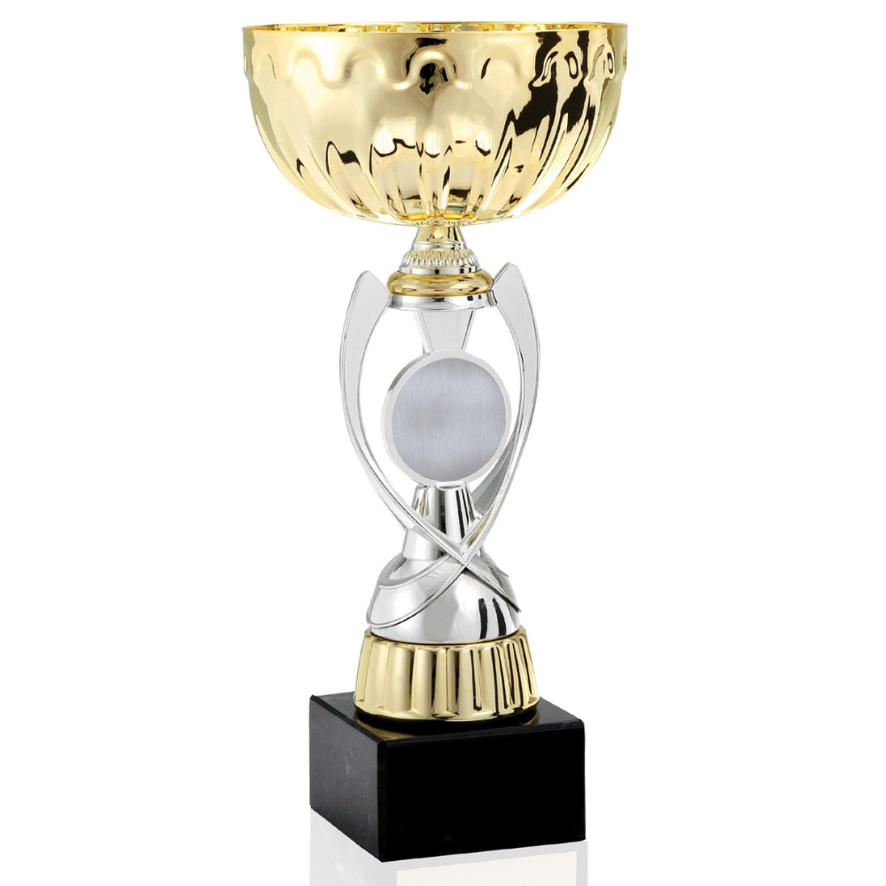 Elegant gold and silver chalice cup award with a unique insert area and ebony base.