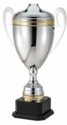 Elegant silver metal Italian cup trophy with gold trim and clear handles on a black marble base.