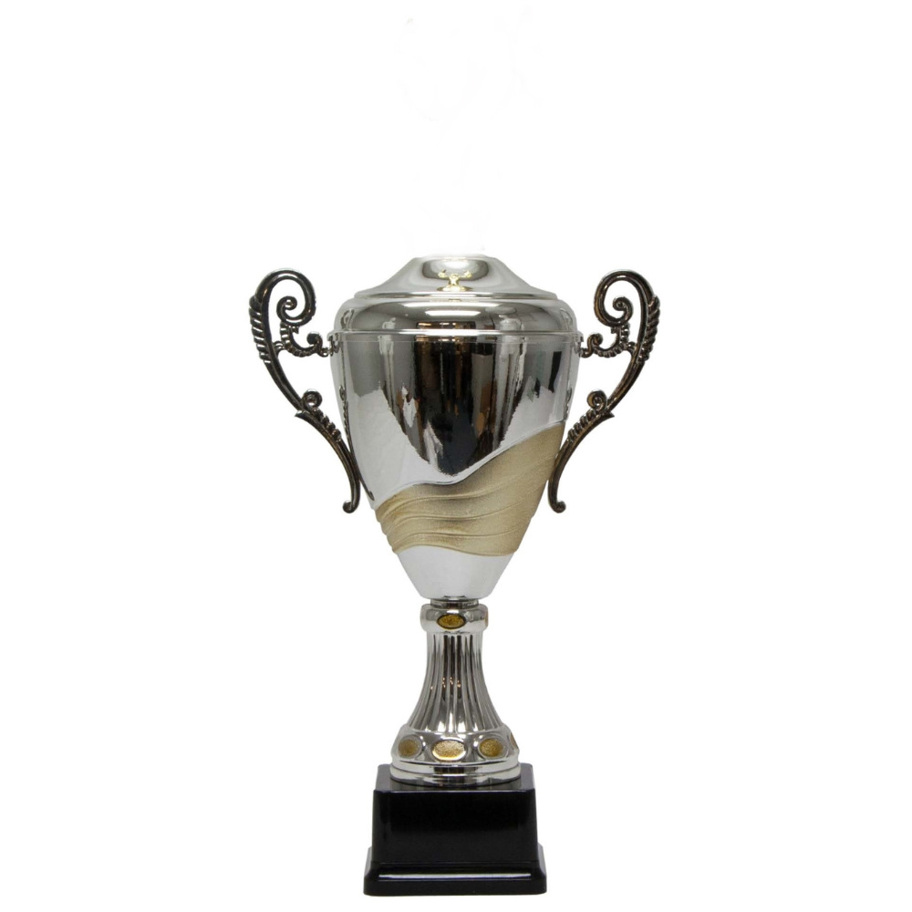Silver and gold two-tone loving cup trophy with ornate handles and a black base.