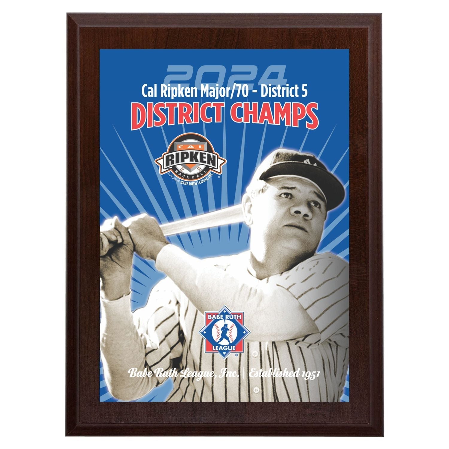 Dark wood plaque with a full-color Babe Ruth baseball graphic and "District Champs" text.