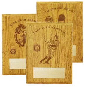 Lasered Oak "District/State/Regional" Award Plaques