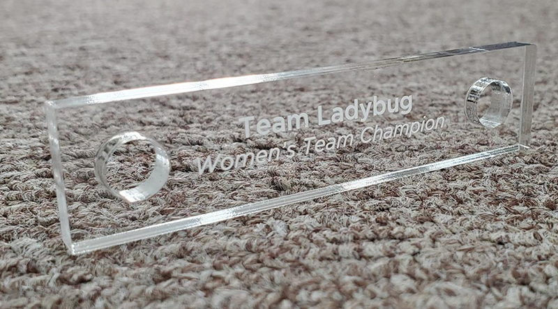 Clear acrylic beveled perpetual plate with "Team Ladybug Women's Team Champion" engraving and two standoff holes.